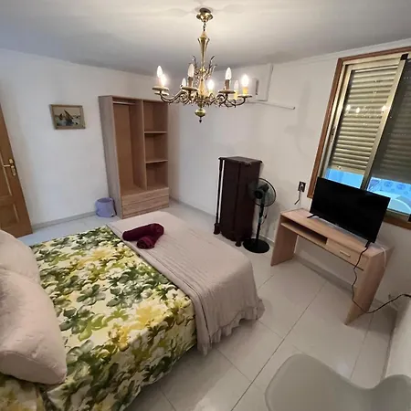 San Jose Luminoso 알헤메시